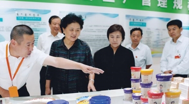 原中共中央政治局委員、國務院副總理劉延東視察我公司